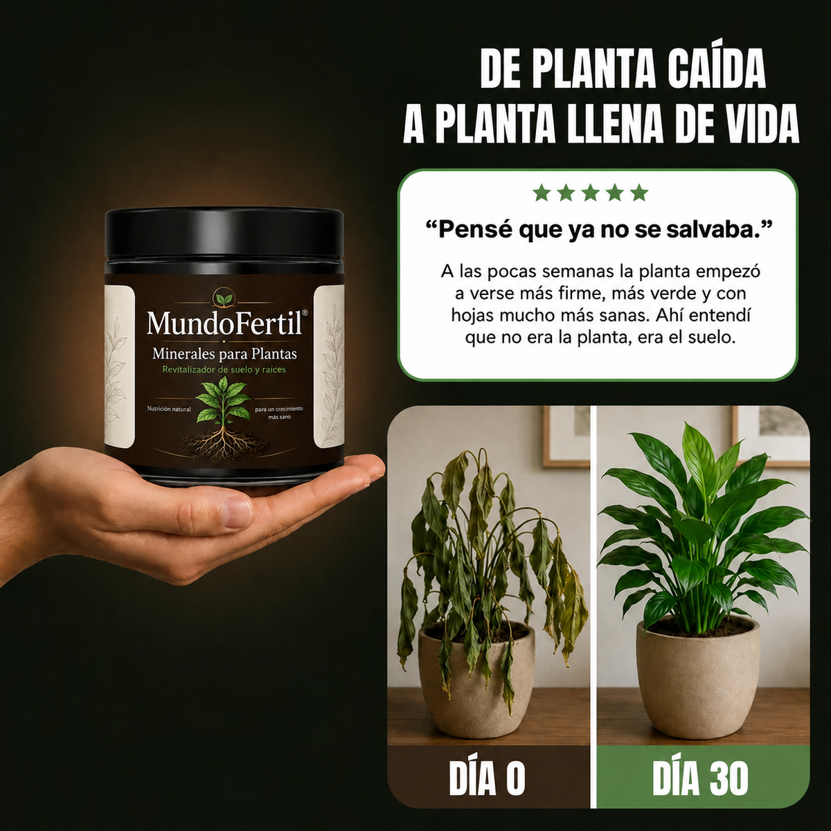 MundoFértil . Minerales para plantas